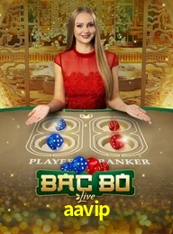 AAVIP.COM